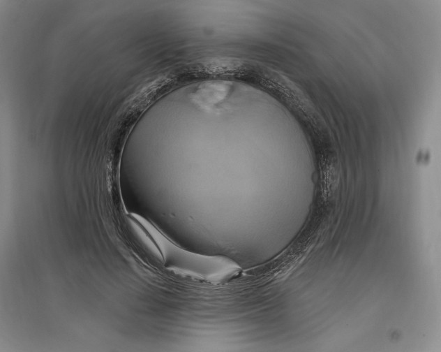 X0000096970644200802291122