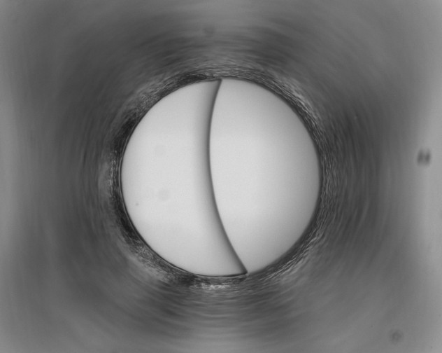 X0000096970645200802291122