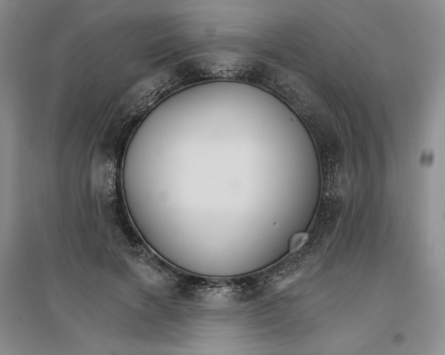 X0000096970646200802291123