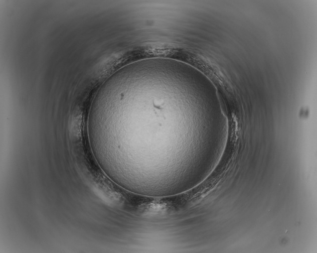 X0000096970647200802291123