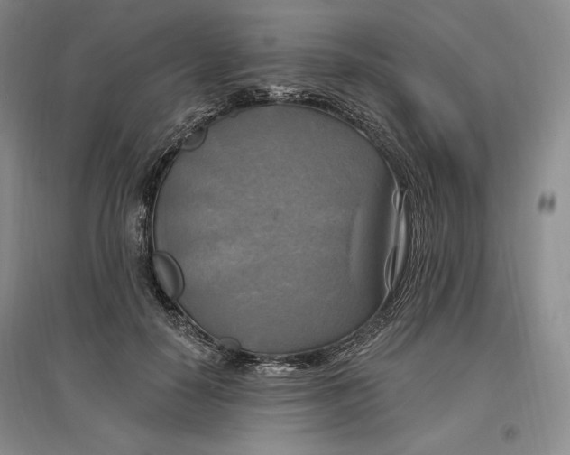 X0000096970650200802291123