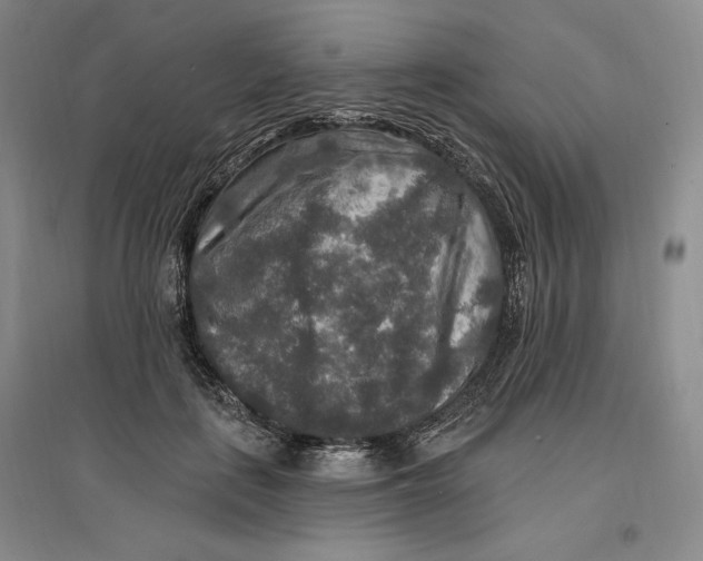 X0000096970651200802291123