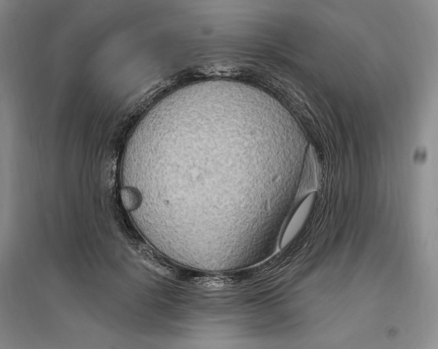 X0000096970652200802291123