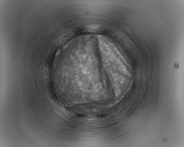 X0000096970653200802291123