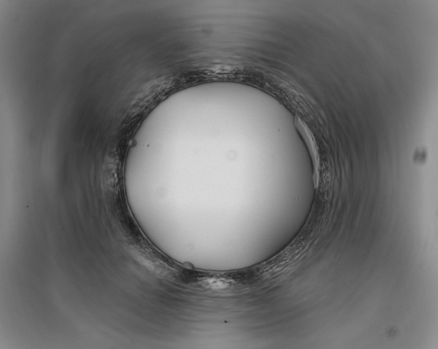 X0000096970654200802291123