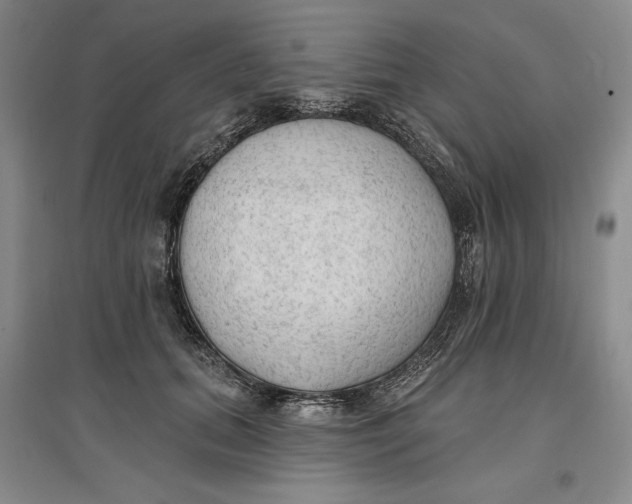 X0000096970655200802291123