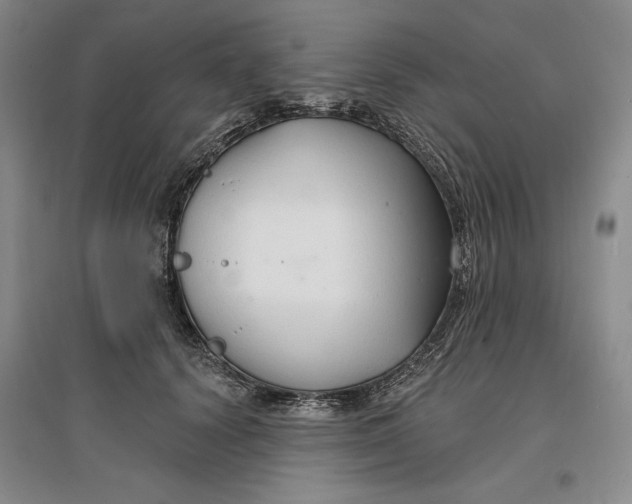 X0000096970656200802291123