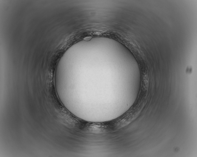 X0000096970657200802291123