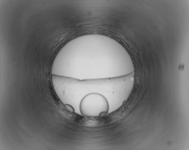 X0000096970658200802291123