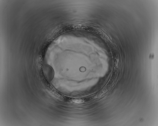 X0000096970659200802291123