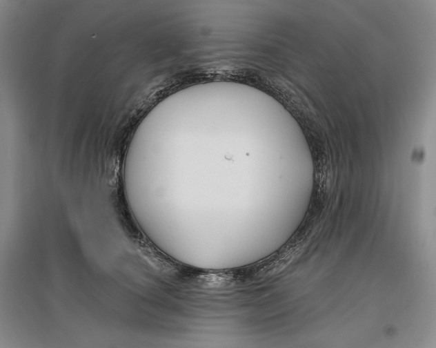 X0000096970660200802291123