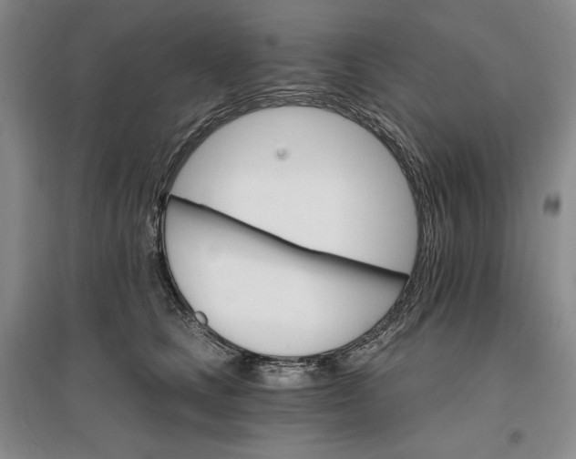 X0000096970661200802291123