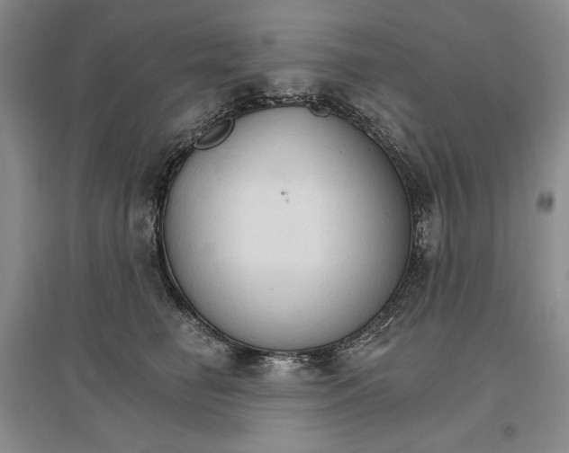 X0000096970662200802291123