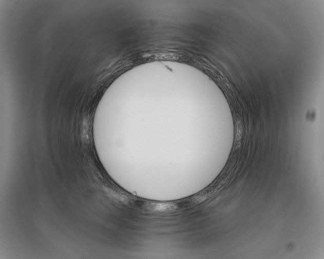 X0000096970663200802291123