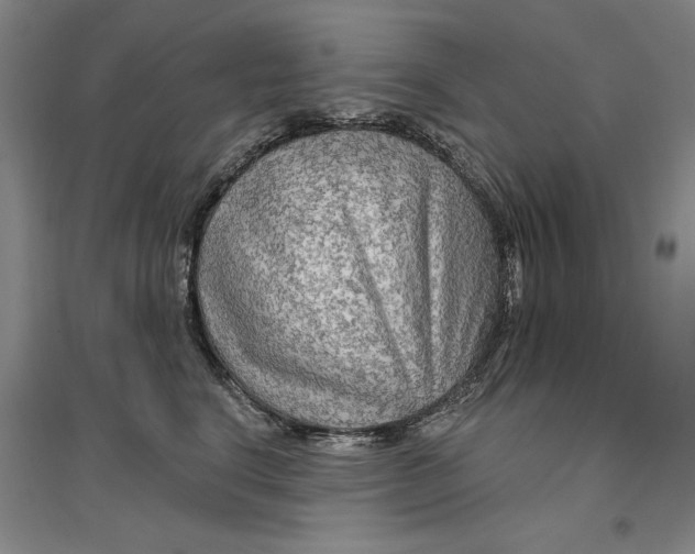 X0000096970664200802291123