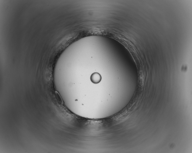 X0000096970665200802291123