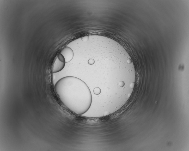 X0000096970666200802291123