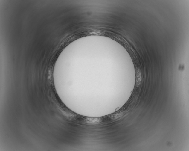 X0000096970667200802291123