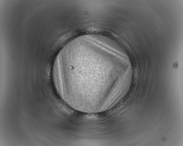 X0000096970668200802291123