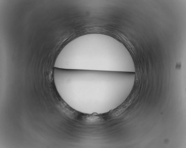 X0000096970669200802291123