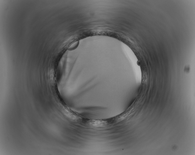 X0000096970670200802291123