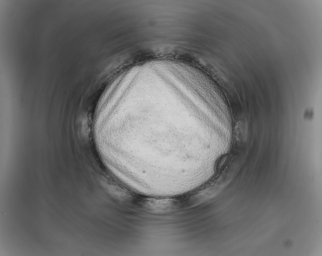 X0000096970671200802291123