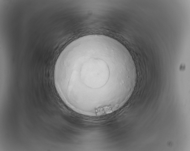 X0000096970672200802291123