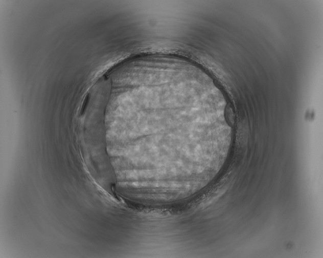 X0000096970673200802291122