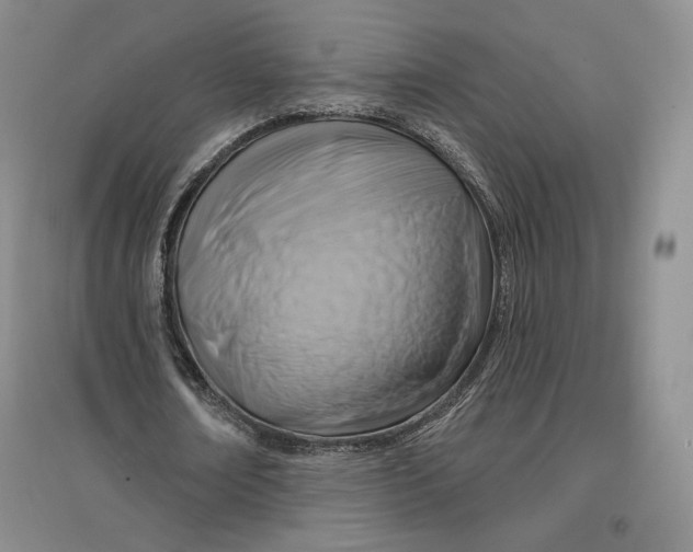 X0000096970674200802291122