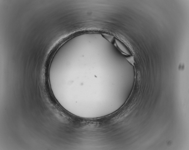 X0000096970676200802291122