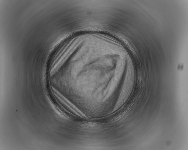 X0000096970677200802291122