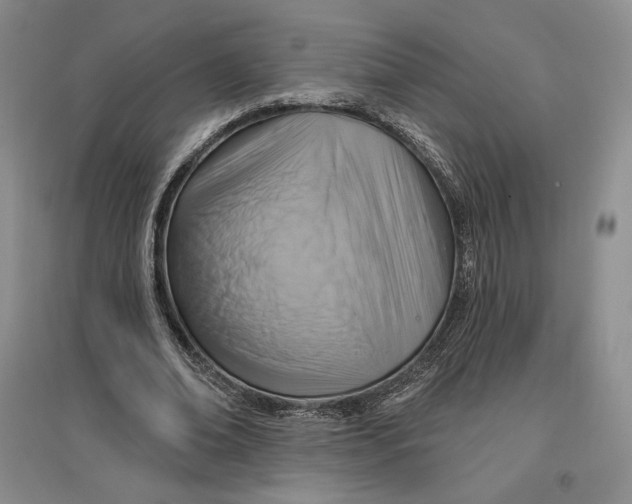 X0000096970678200802291122