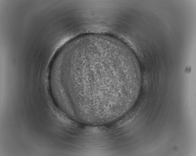 X0000096970679200802291122