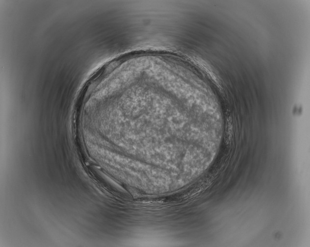 X0000096970680200802291122