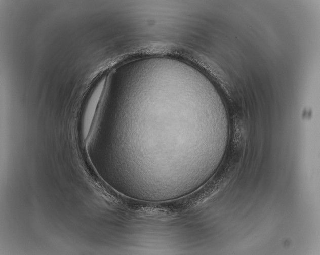 X0000096970681200802291122