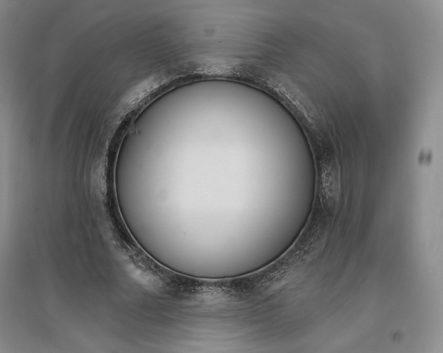 X0000096970682200802291122