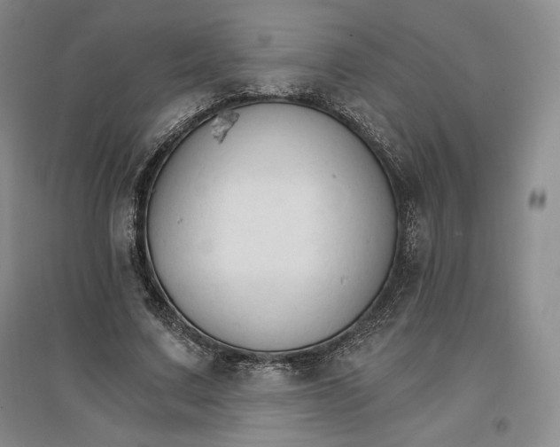 X0000096970683200802291122