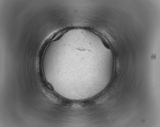 X0000096970684200802291122