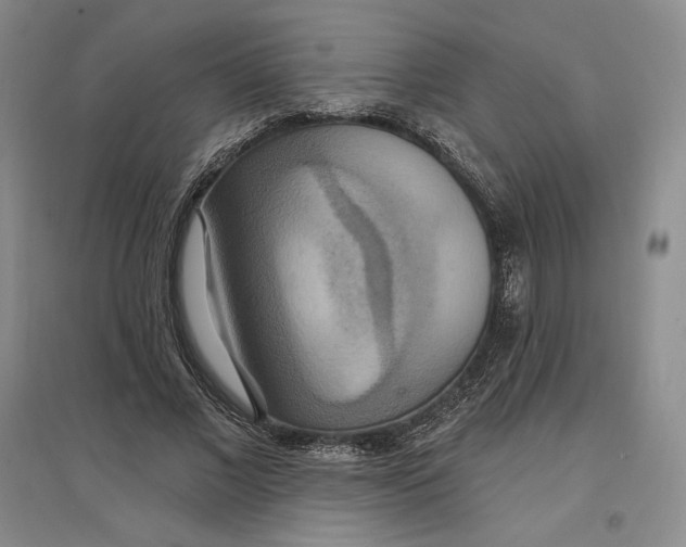 X0000096970685200802291122