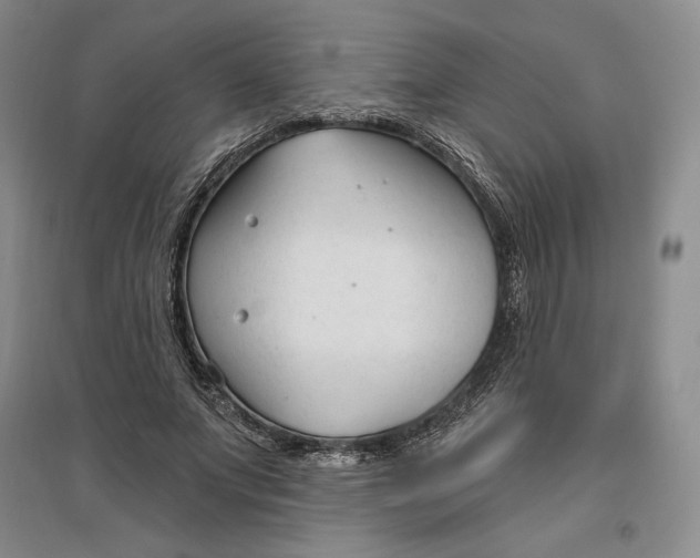 X0000096970687200802291122