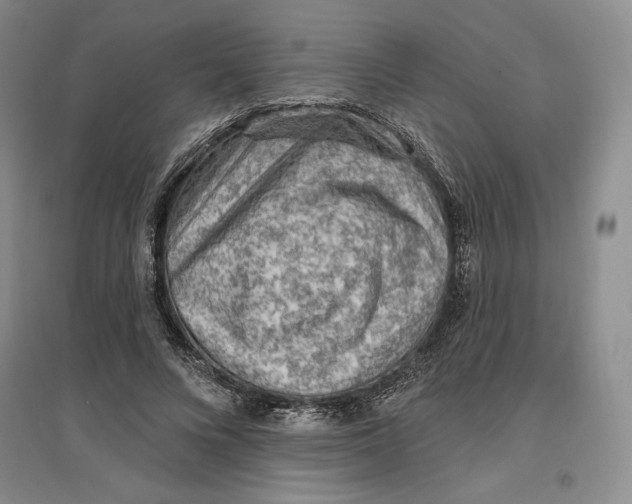 X0000096970688200802291122