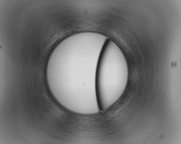 X0000096970689200802291122