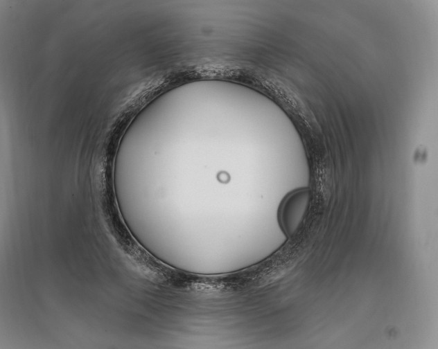 X0000096970690200802291122