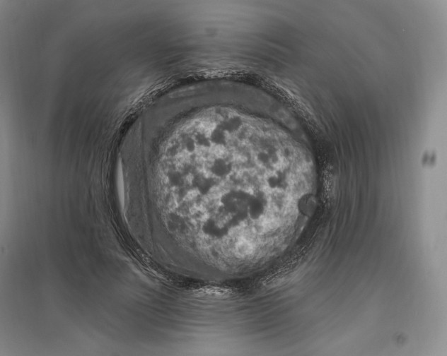 X0000096970691200802291122