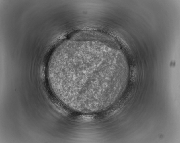 X0000096970692200802291122