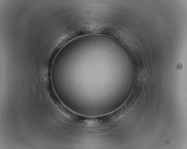 X0000096970693200802291122