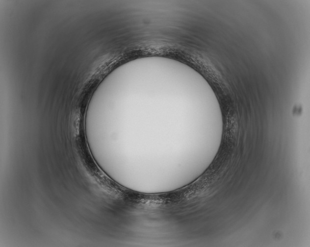 X0000096970694200802291122