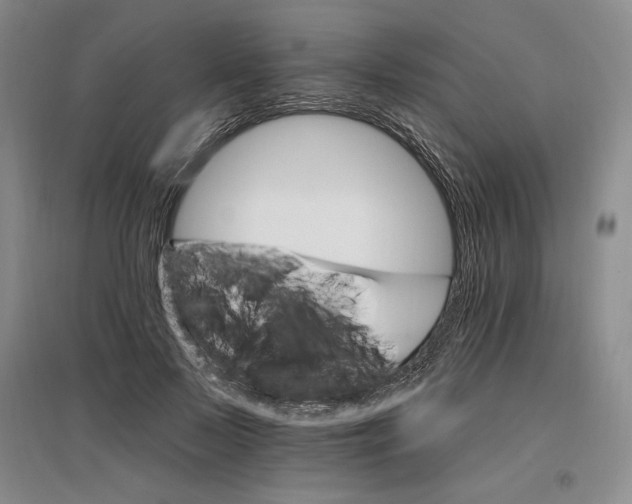 X0000096970695200802291122