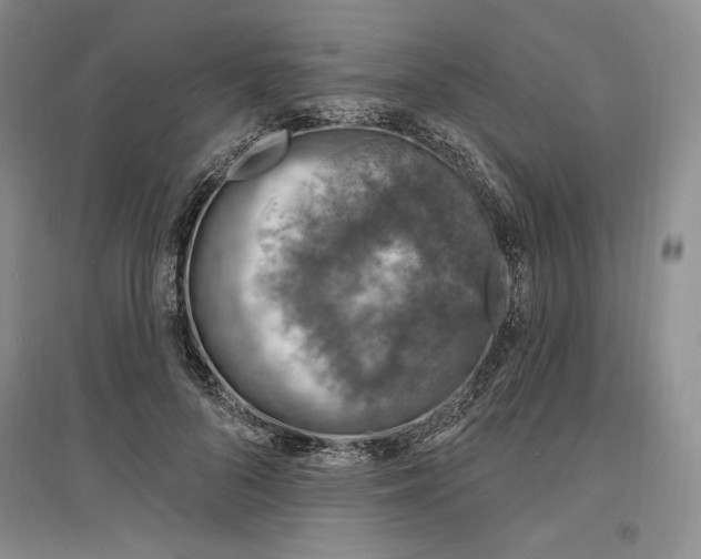 X0000096970696200802291122