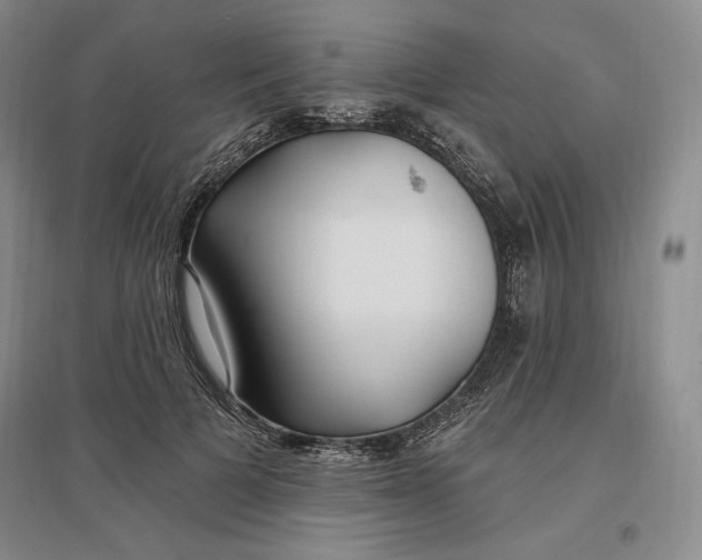 X0000096970697200802291122